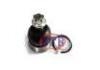 Ball Joint:43310-60050