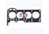 Cylinder Head Gasket:11115-50050