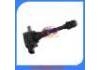 Ignition Coil:22448-8H315