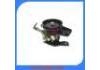 Power Steering Pump:49110-0E000