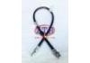 Brake Cable:MN102533