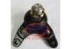 下球头 Ball Joint:normal