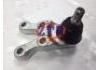 球头 Ball Joint:54550-H1000