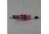 火花塞 Spark Plug:22401-JD01B